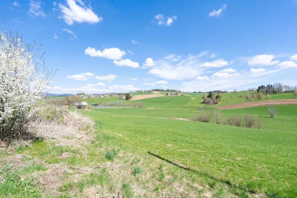Grundstück kaufen in Rohrbach – 3 658 m², € 18.290
