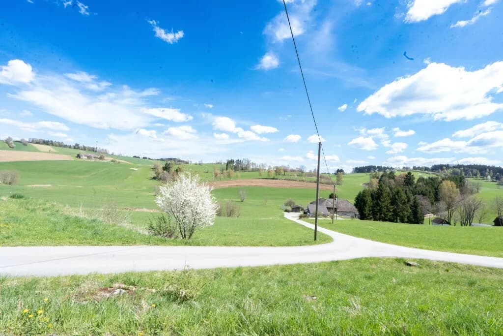Grundstück kaufen in Rohrbach – 3 658 m², € 18.290 – Bild 2 von 4