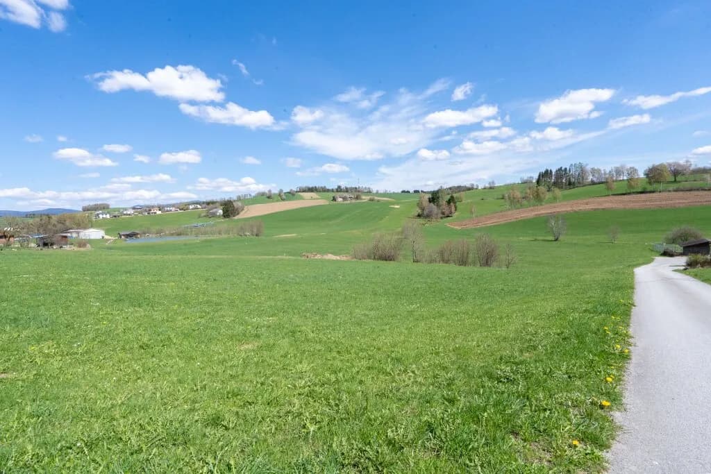 Grundstück kaufen in Rohrbach – 3 658 m², € 18.290 – Bild 3 von 4