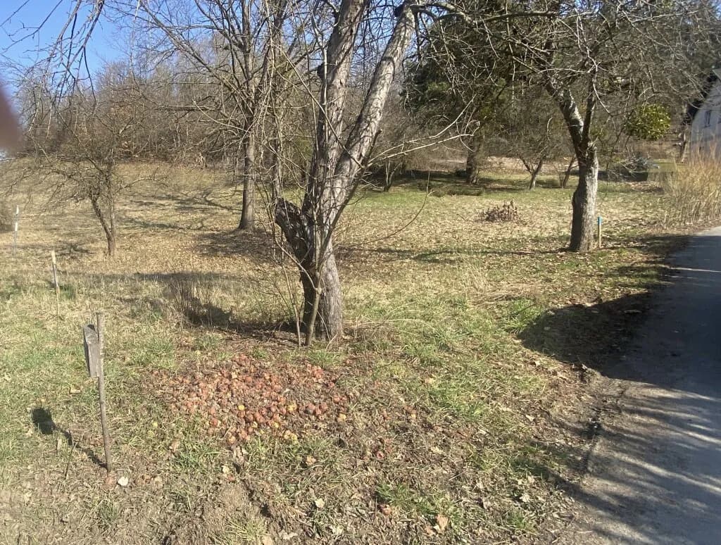 Grundstück kaufen in Güssing – 4 756 m², € 98.000 – Bild 2 von 5