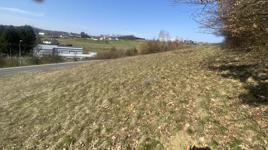 Grundstück kaufen in Güssing – 4 756 m², € 98.000 – Bild 4 von 5