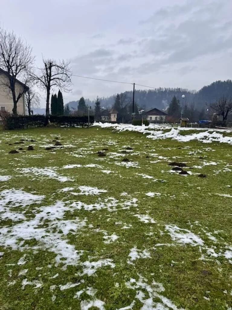 Grundstück kaufen in Völkermarkt – 1 086 m², € 79.000 – Bild 4 von 6
