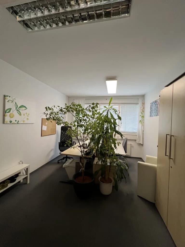Gewerbeimmobilie mieten in Graz – 177 m², € 2.539