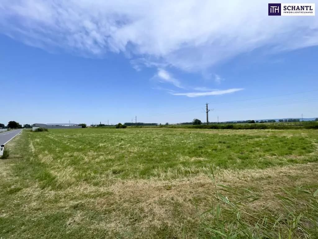 Immobilie kaufen in Baden – 5 134 m², € 549.000