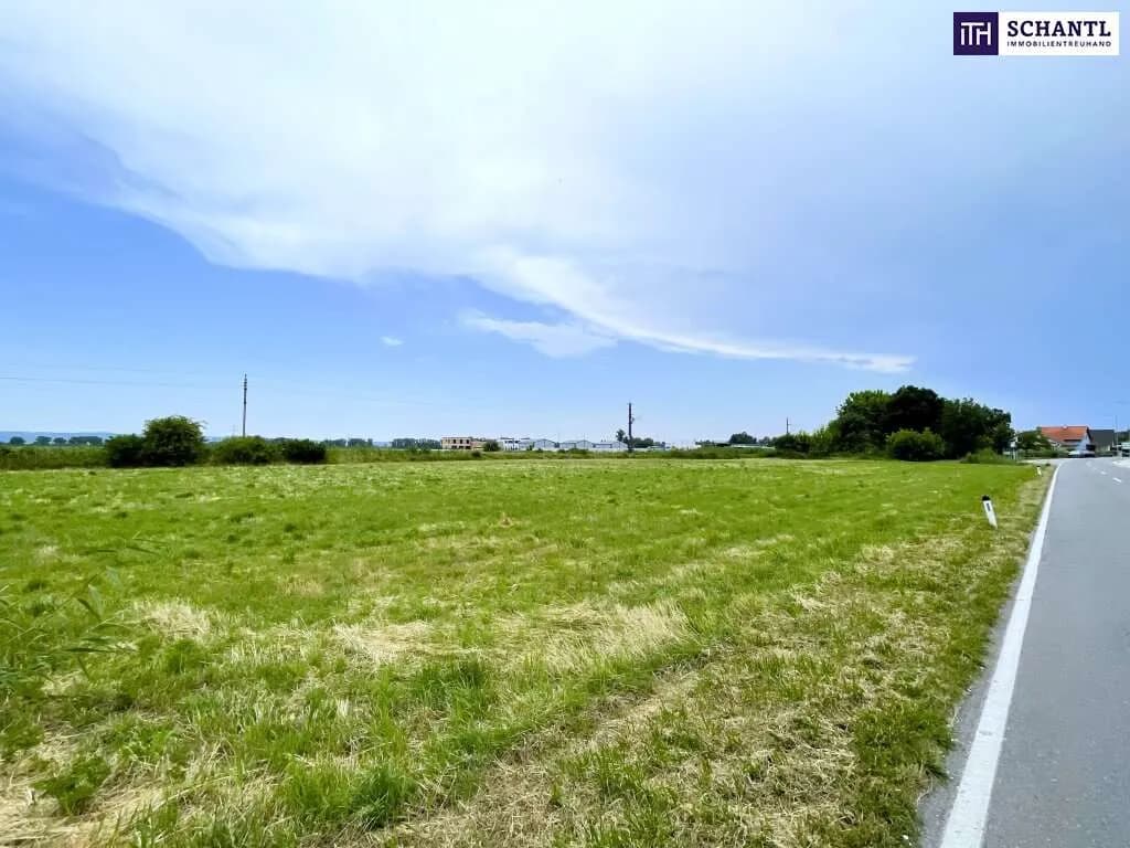 Immobilie kaufen in Baden – 5 134 m², € 549.000 – Bild 2 von 6