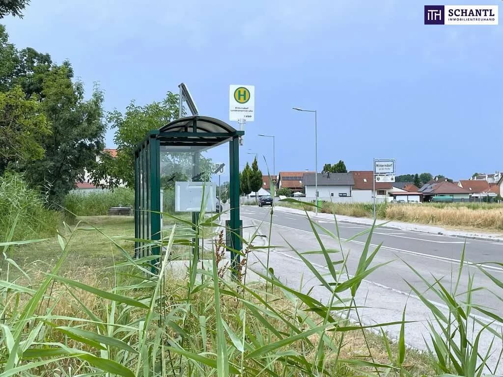 Immobilie kaufen in Baden – 5 134 m², € 549.000 – Bild 3 von 6