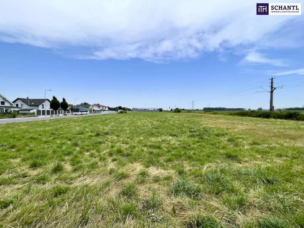 Immobilie kaufen in Baden – 5 134 m², € 549.000 – Bild 4 von 6