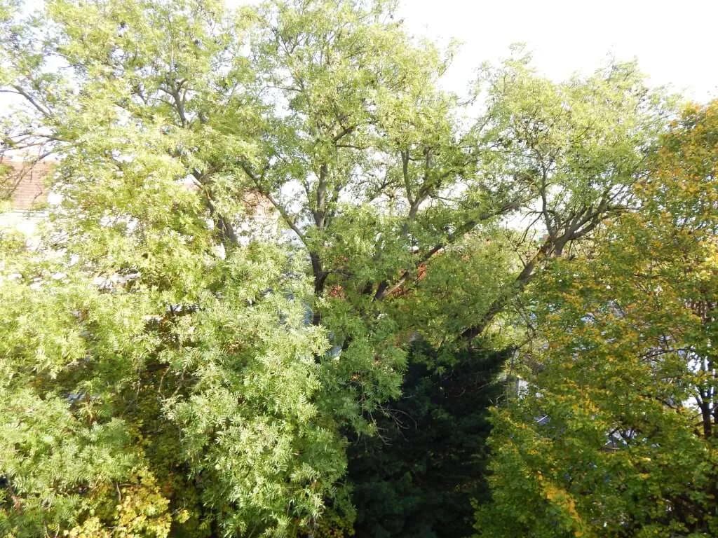 3-Zimmer-Wohnung mieten in Wien – 101 m², € 1.395 – Bild 10 von 19