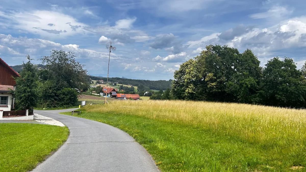 Grundstück kaufen in Südoststeiermark – 2 484 m², € 173.880 – Bild 3 von 5
