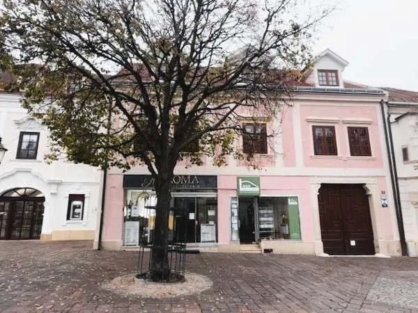 5-Zimmer-Gewerbeimmobilie mieten in Eisenstadt – 119 m², € 1.500 – Bild 3 von 14