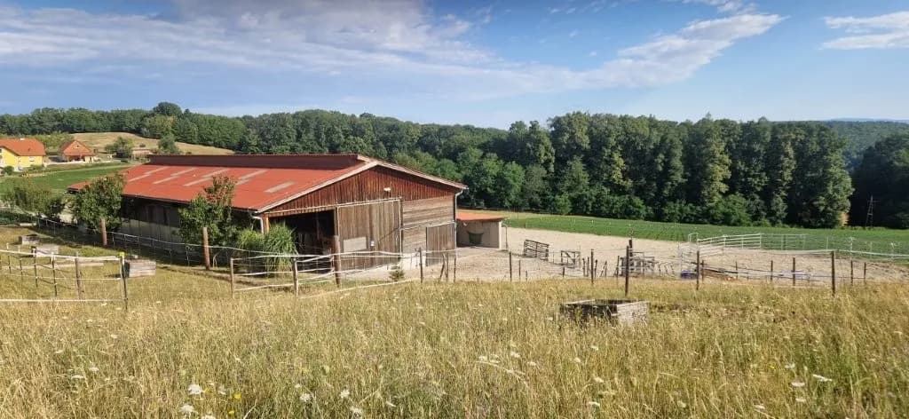 Immobilie kaufen in Güssing – 630 m², € 395.000
