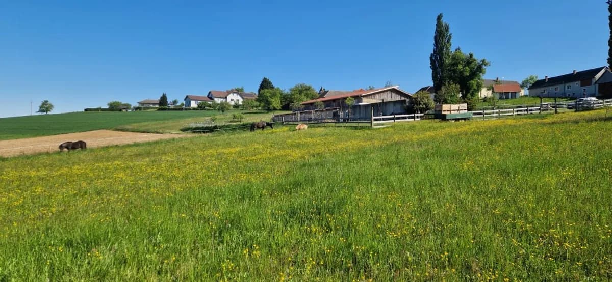 Immobilie kaufen in Güssing – 630 m², € 395.000 – Bild 4 von 14