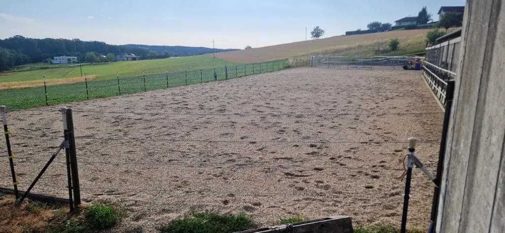 Immobilie kaufen in Güssing – 630 m², € 395.000 – Bild 8 von 14