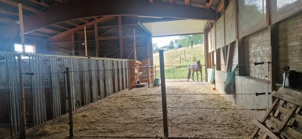 Immobilie kaufen in Güssing – 630 m², € 395.000 – Bild 9 von 14