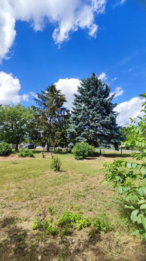 Grundstück kaufen in Neunkirchen – 1 000 m², € 175.000 – Bild 4 von 6