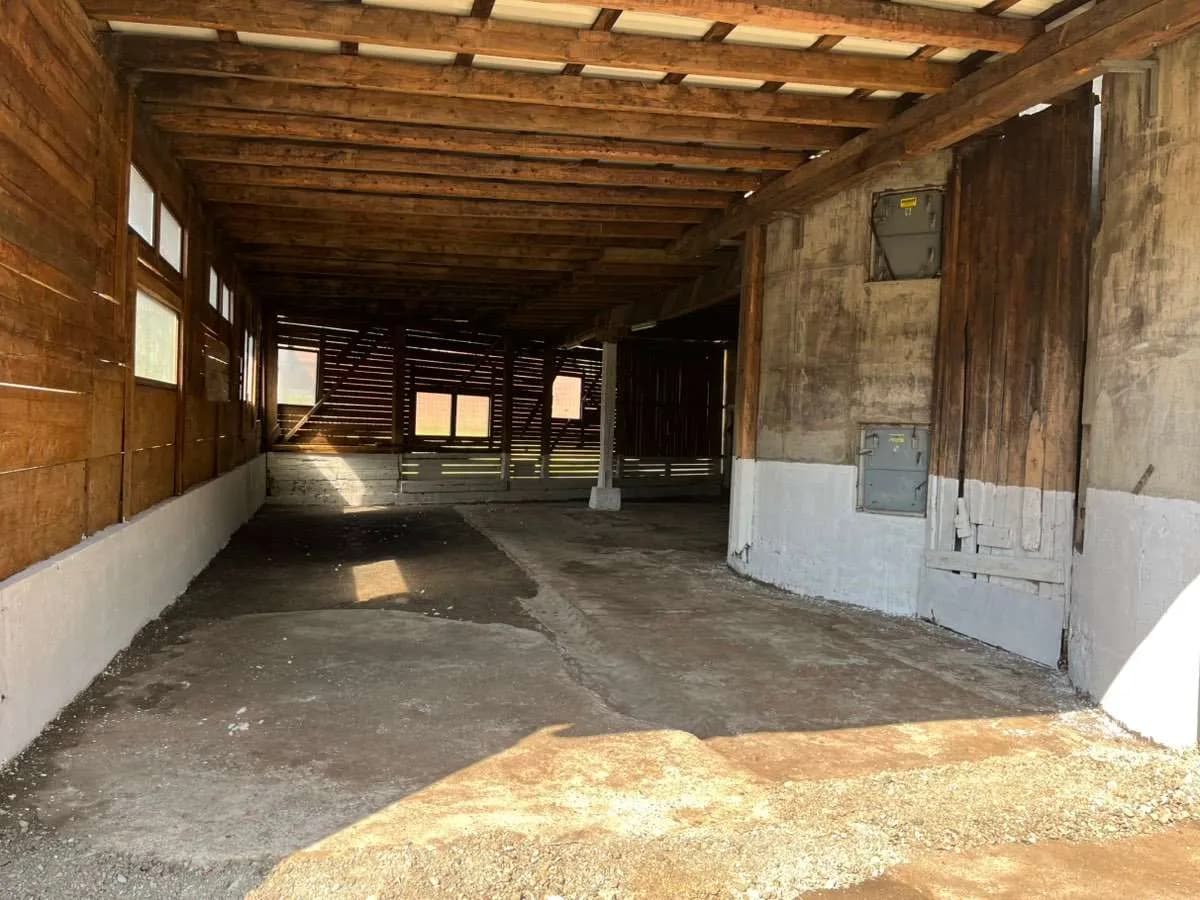 Immobilie mieten in Sankt Veit an der Glan – 520 m², € 5 – Bild 5 von 7