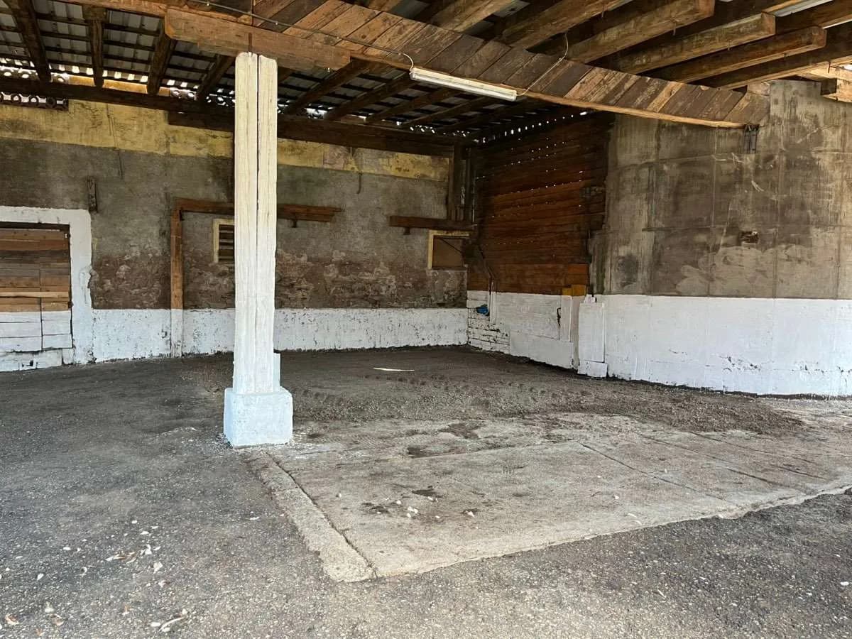 Immobilie mieten in Sankt Veit an der Glan – 520 m², € 5 – Bild 7 von 7