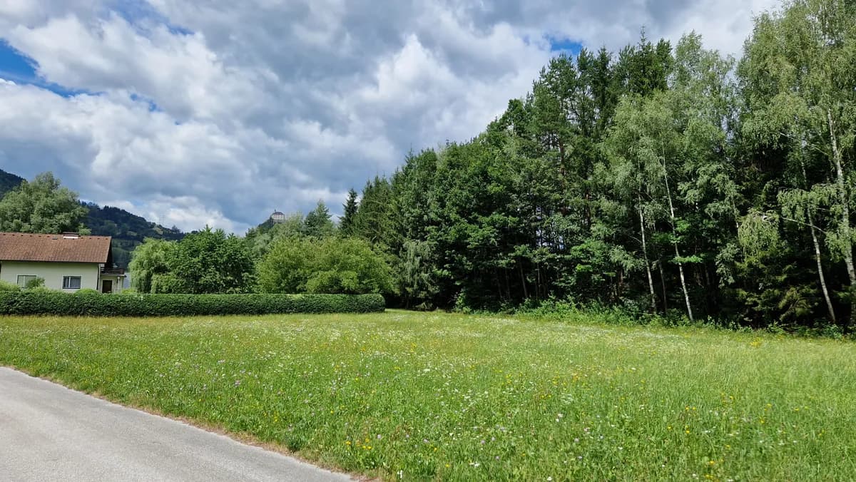 Immobilie kaufen in Liezen – 2 485 m², € 49.700 – Bild 3 von 3