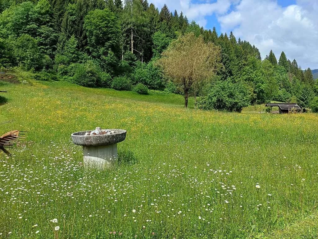 Immobilie kaufen in Feldkirchen – 800 m², € 1.790.000 – Bild 32 von 32