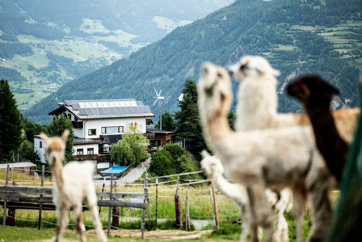 12-Zimmer-Gewerbeimmobilie kaufen in Landeck – 600 m², € 1.790.000