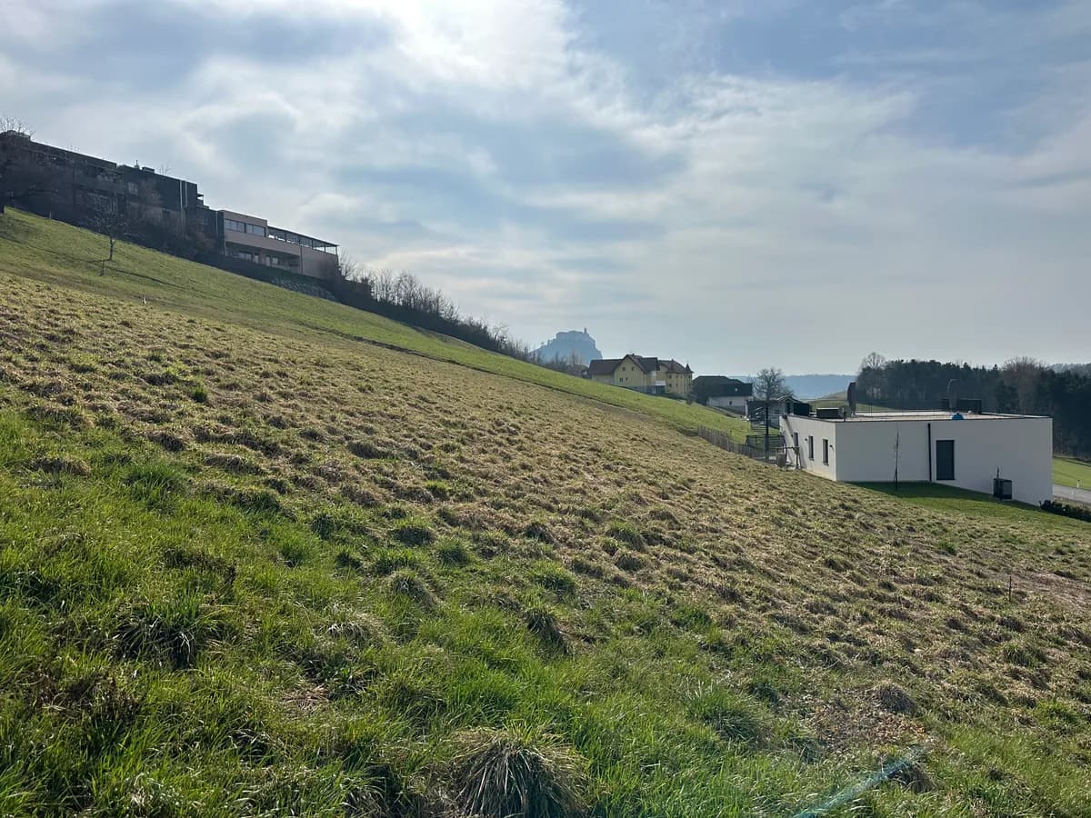 Grundstück kaufen in Südoststeiermark – 1 556 m², € 29.500 – Bild 2 von 8