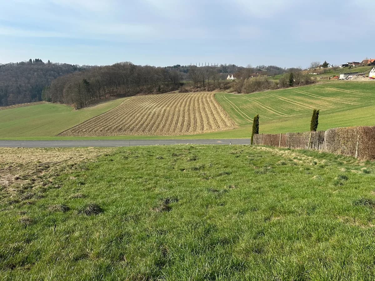 Grundstück kaufen in Südoststeiermark – 1 556 m², € 29.500 – Bild 3 von 8