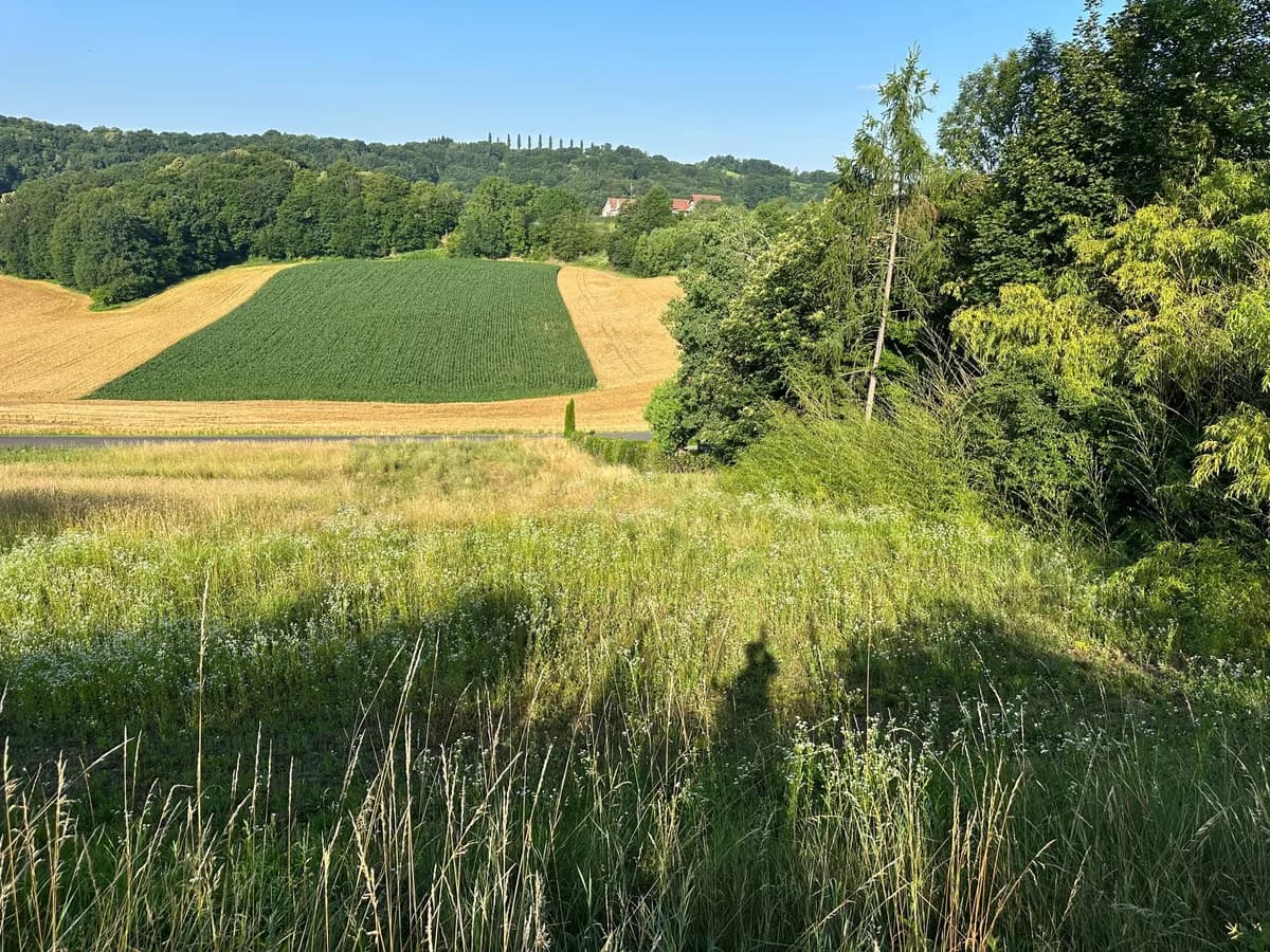 Grundstück kaufen in Südoststeiermark – 1 556 m², € 29.500 – Bild 7 von 8