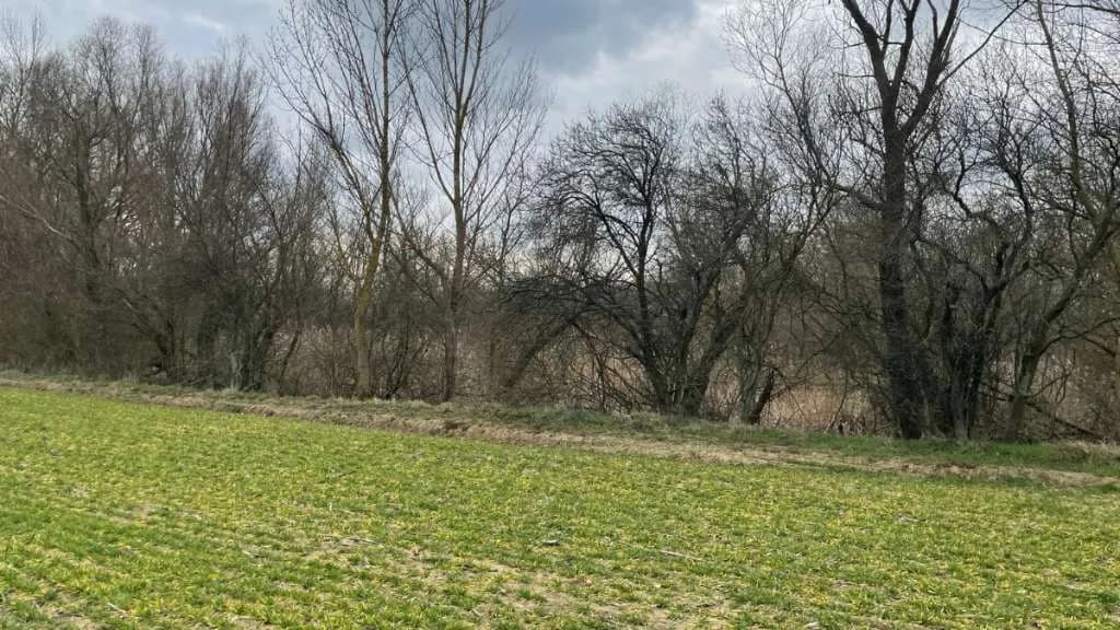 Immobilie kaufen in Österreich – 22 600 m², € 120.000 – Bild 9 von 10