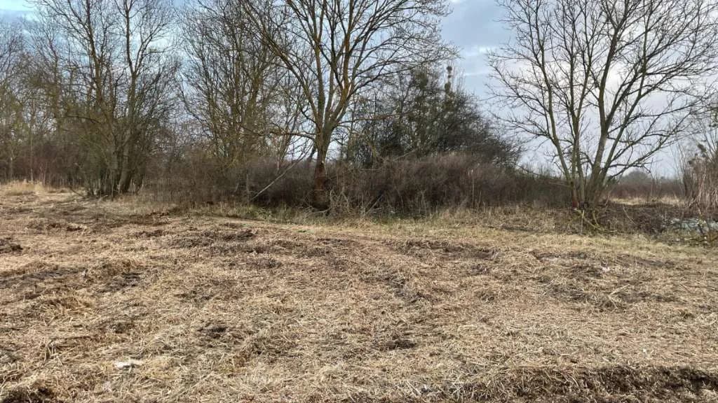 Immobilie kaufen in Österreich – 22 600 m², € 120.000 – Bild 10 von 10