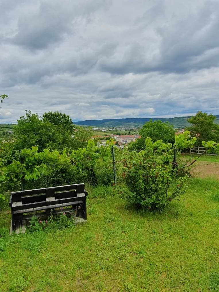Immobilie kaufen in Krems Land – 673 m², € 75.000 – Bild 30 von 34