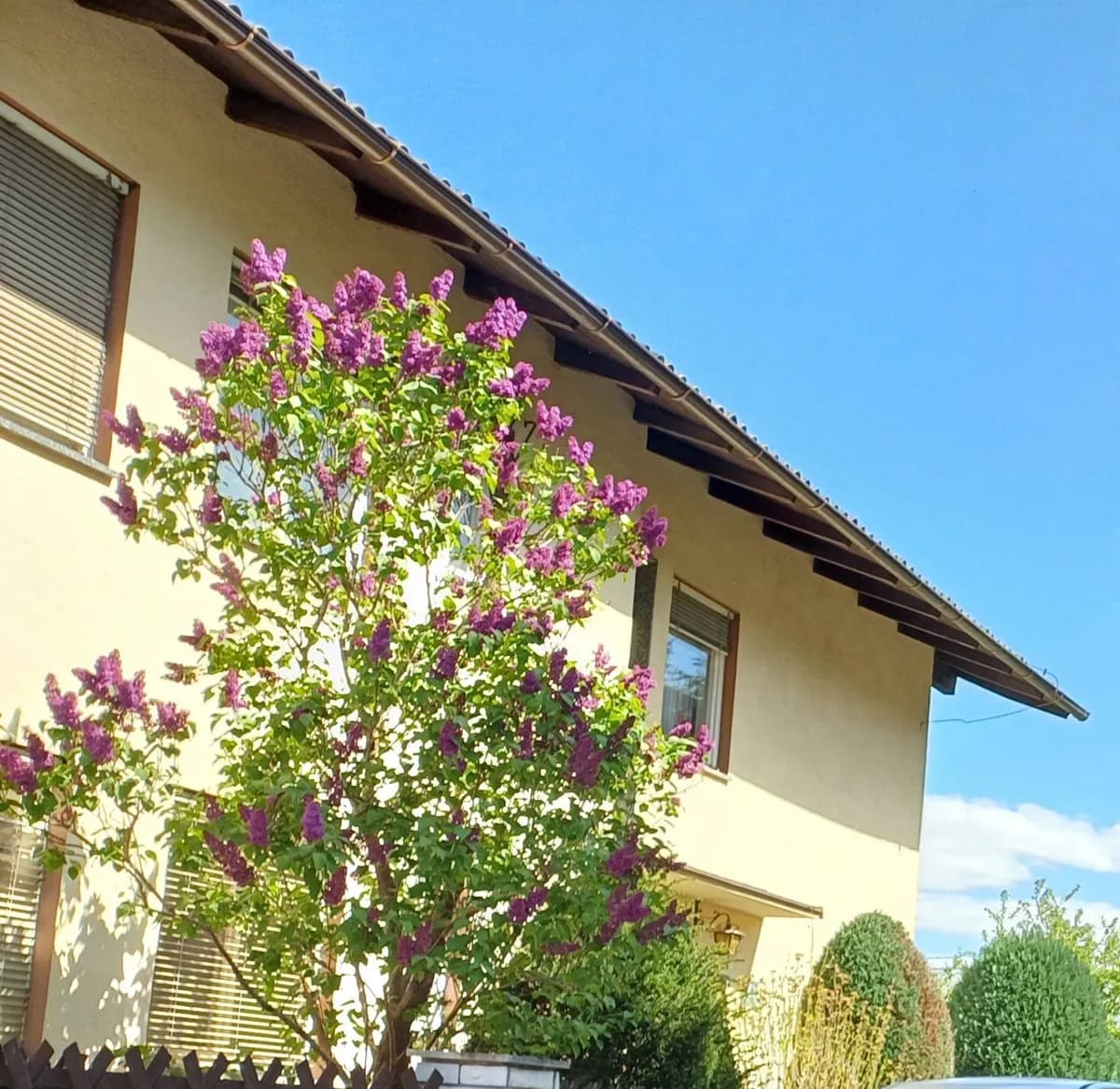 Gewerbeimmobilie kaufen in Graz – 228 m², € 595.000 – Bild 4 von 7