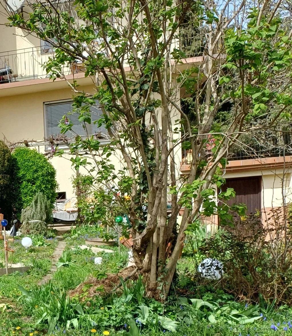 Gewerbeimmobilie kaufen in Graz – 228 m², € 595.000 – Bild 5 von 7