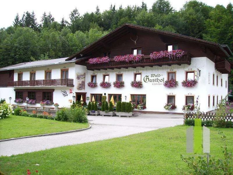 18-Zimmer-Gewerbeimmobilie kaufen in Vöcklabruck – 2 654 m²