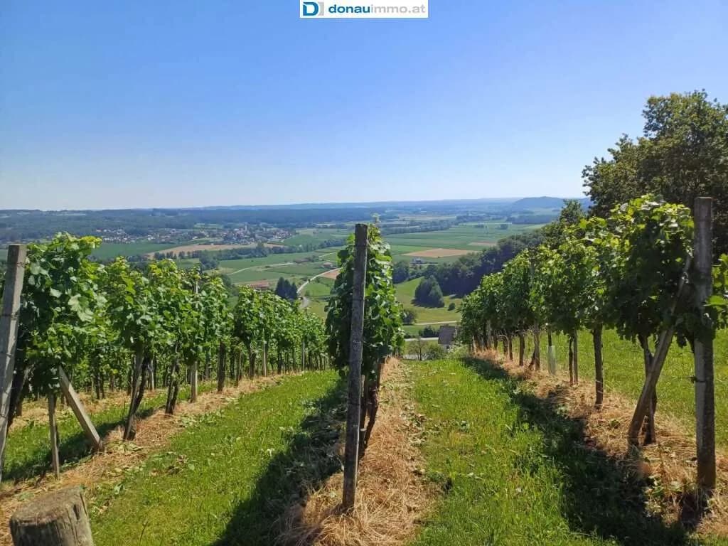 Gewerbeimmobilie kaufen in Hartberg-Fürstenfeld – 119 m², € 330.000 – Bild 6 von 15