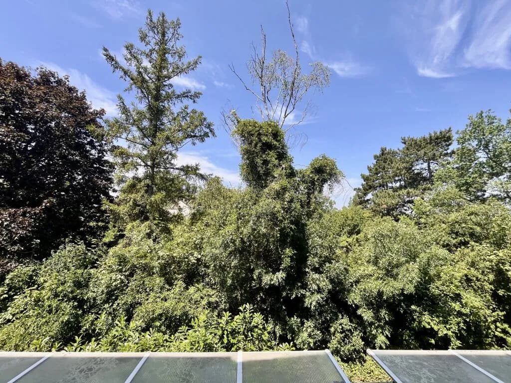 4-Zimmer-Haus kaufen in Gänserndorf – 126 m², € 395.000 – Bild 17 von 53