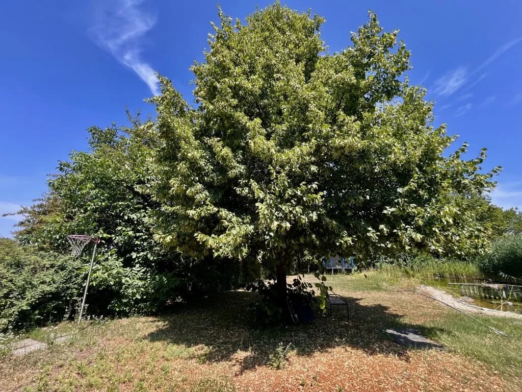 4-Zimmer-Haus kaufen in Gänserndorf – 126 m², € 395.000 – Bild 46 von 53