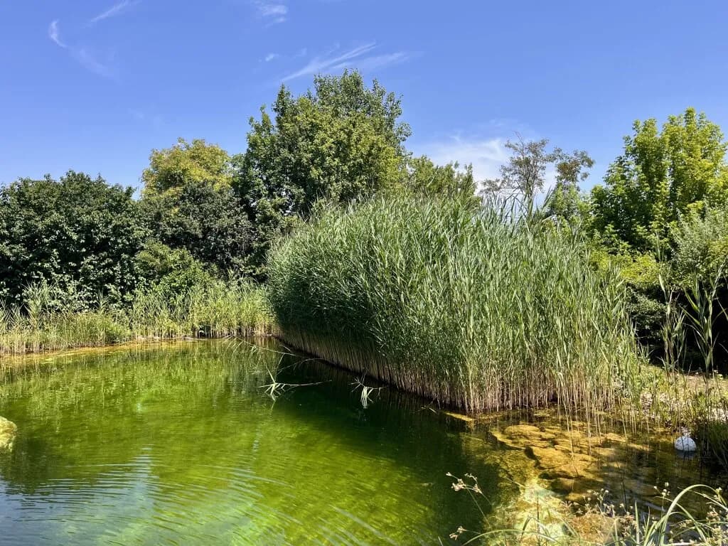 4-Zimmer-Haus kaufen in Gänserndorf – 126 m², € 395.000 – Bild 47 von 53