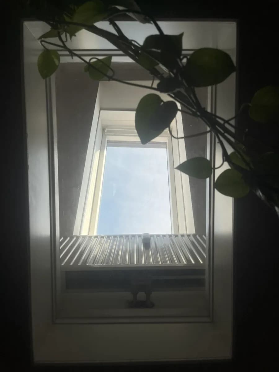 3-Zimmer-Wohnung mieten in Graz – 101 m², € 732 – Bild 7 von 17