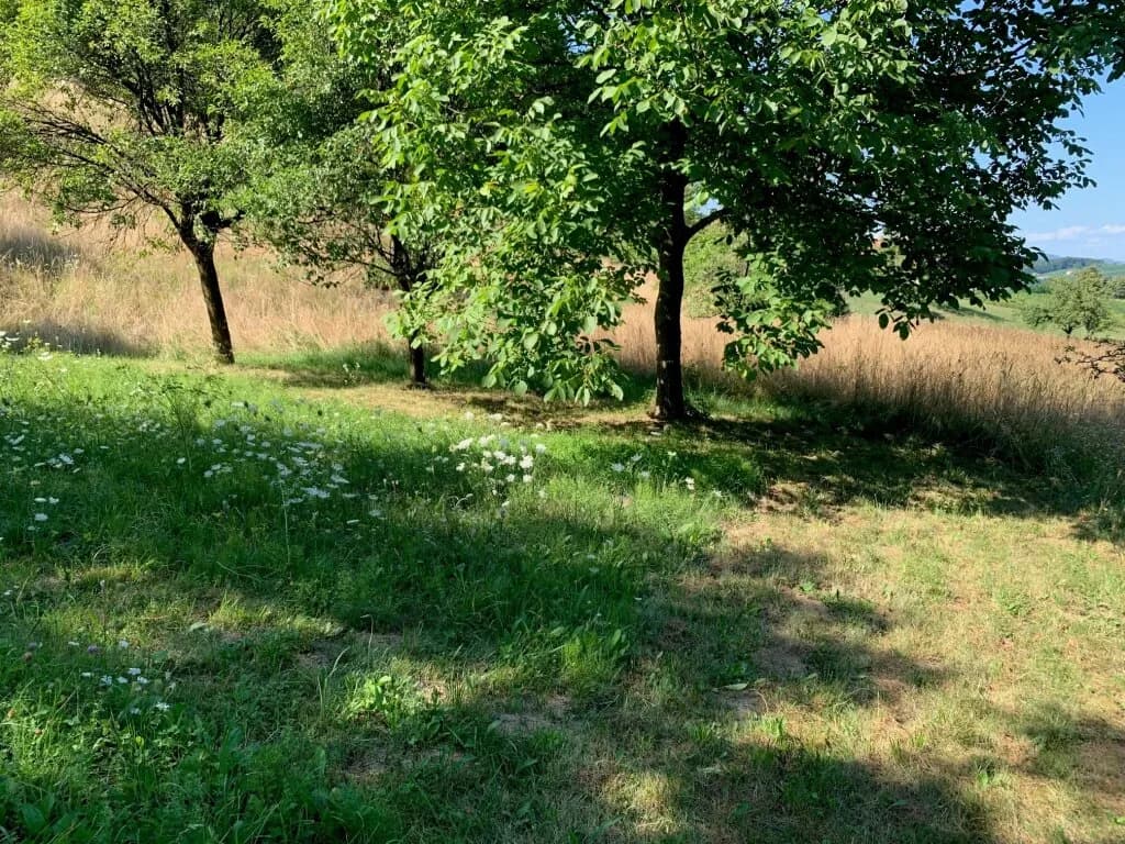 Grundstück kaufen in Südoststeiermark – 5 206 m², € 149.000 – Bild 5 von 11