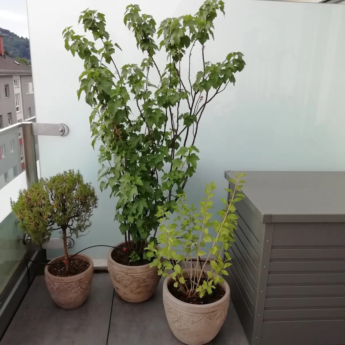 3-Zimmer-Wohnung mieten in Graz – 84 m², € 1.948 – Bild 20 von 30