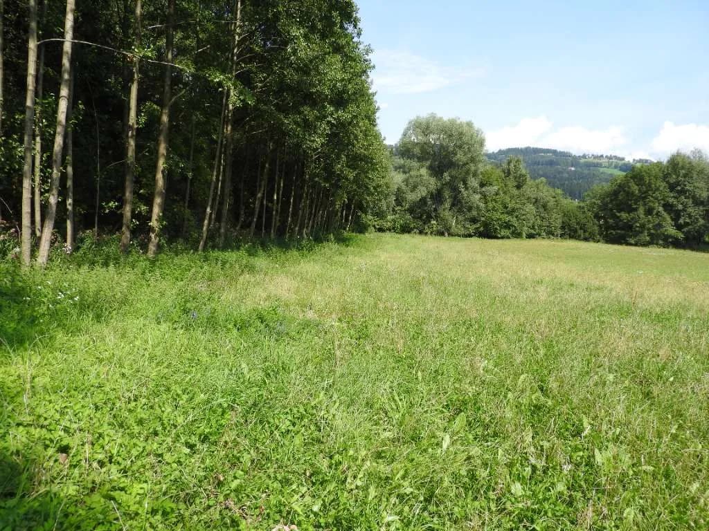 Grundstück kaufen in Wolfsberg – 16 000 m² – Bild 2 von 4