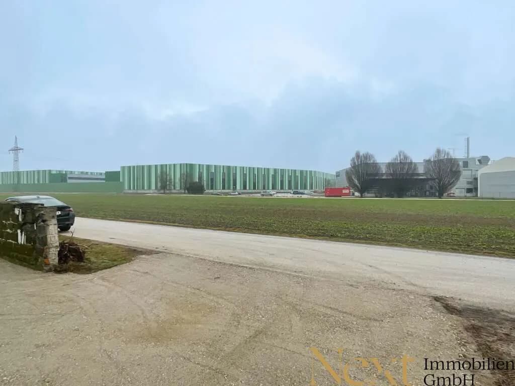 Immobilie mieten in Linz Land – 1 528 m², € 1.834 – Bild 3 von 4