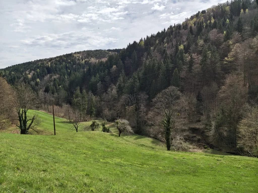 6-Zimmer-Haus kaufen in Deutschlandsberg – 160 m², € 590.000 – Bild 3 von 27