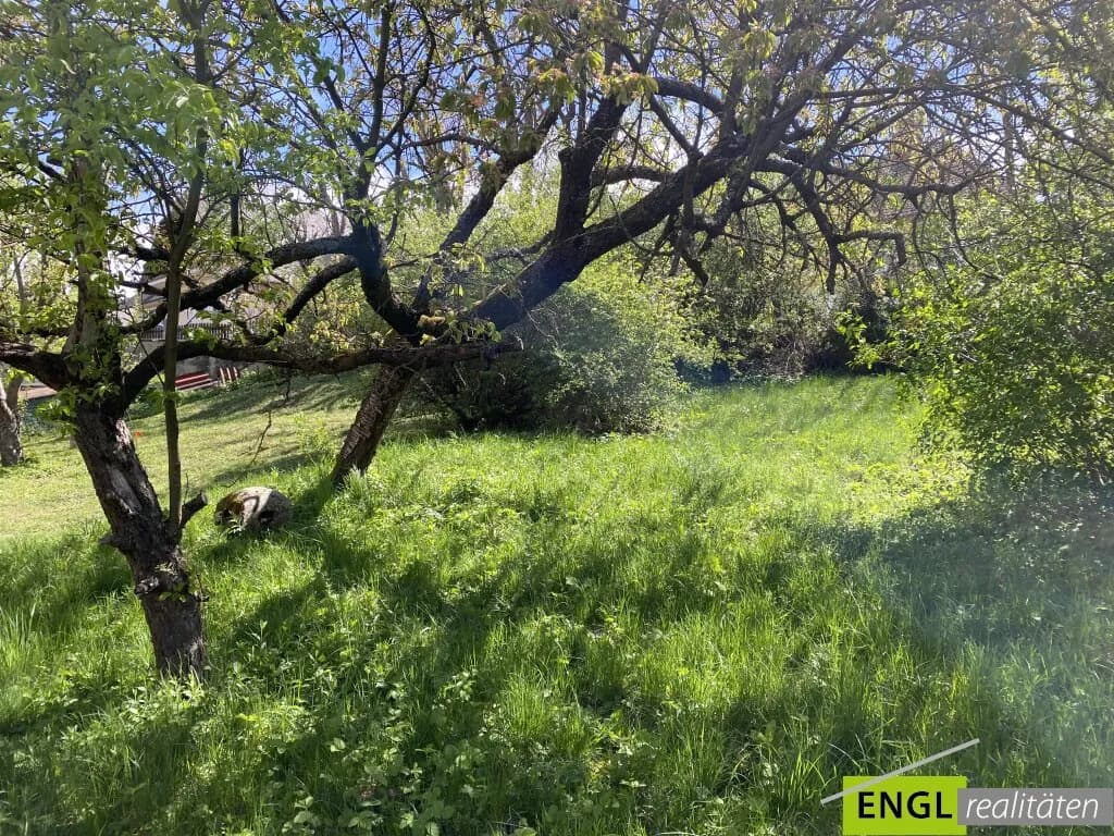 Immobilie kaufen in Hollabrunn – € 39.000 – Bild 3 von 11