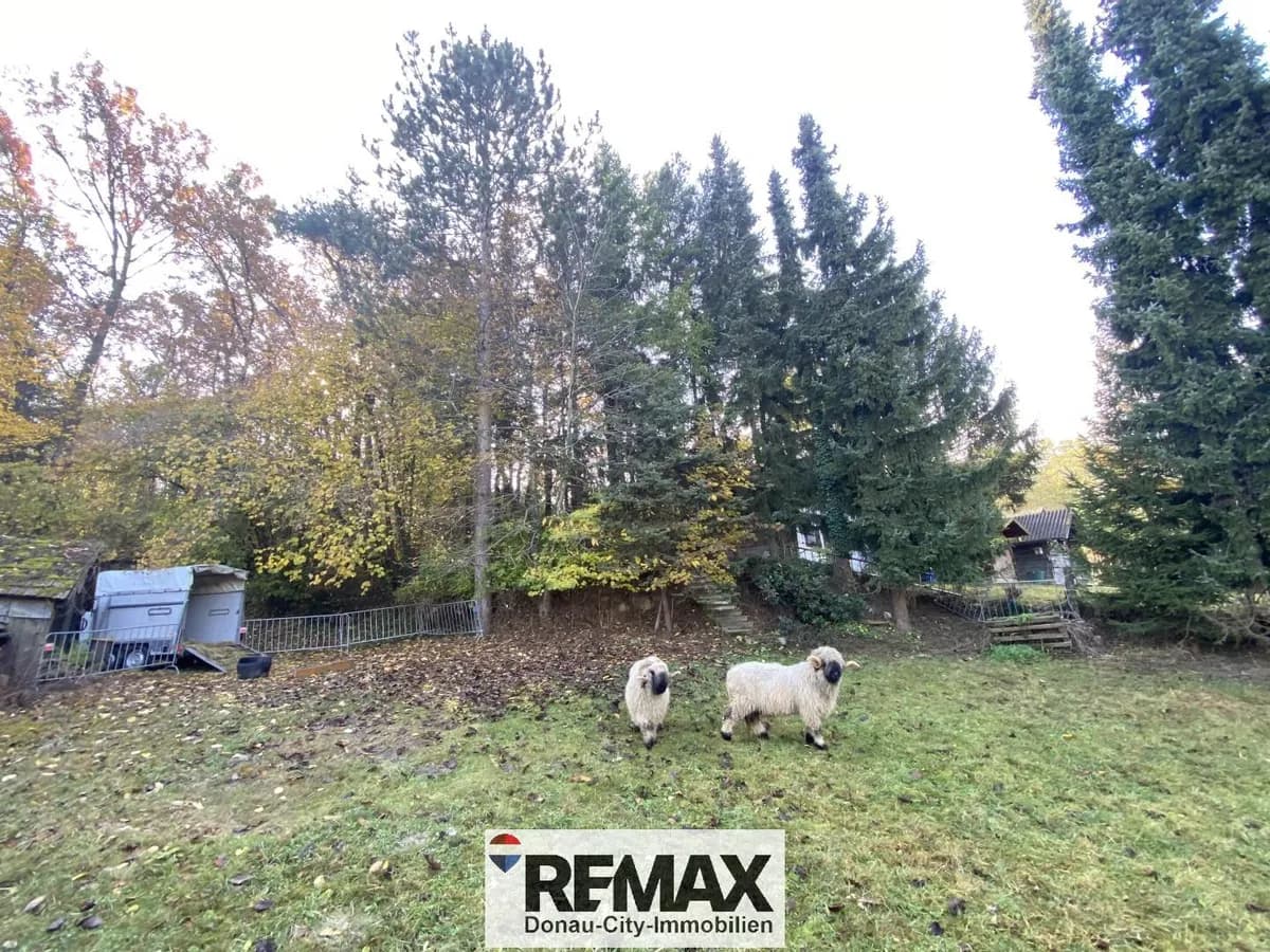 6-Zimmer-Immobilie kaufen in Tulln – 109 m², € 330.000 – Bild 3 von 24
