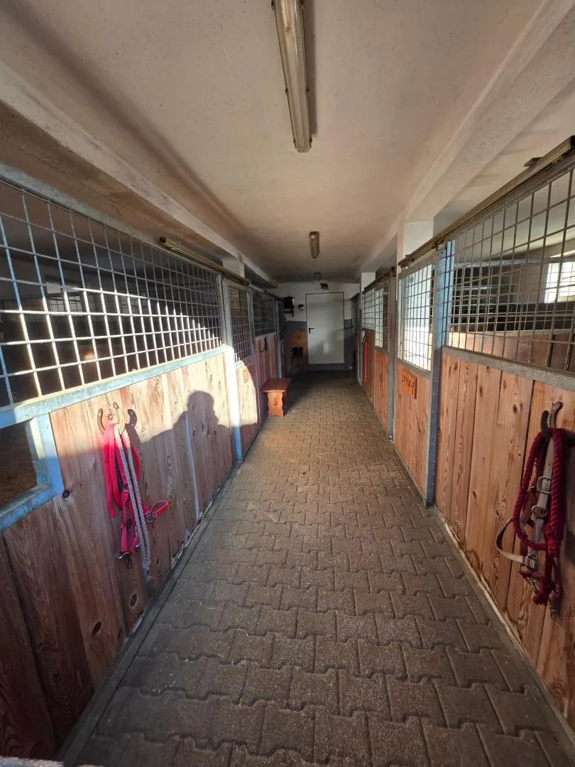 3-Zimmer-Grundstück kaufen in Wolfsberg – 90 m², € 765.000 – Bild 17 von 26