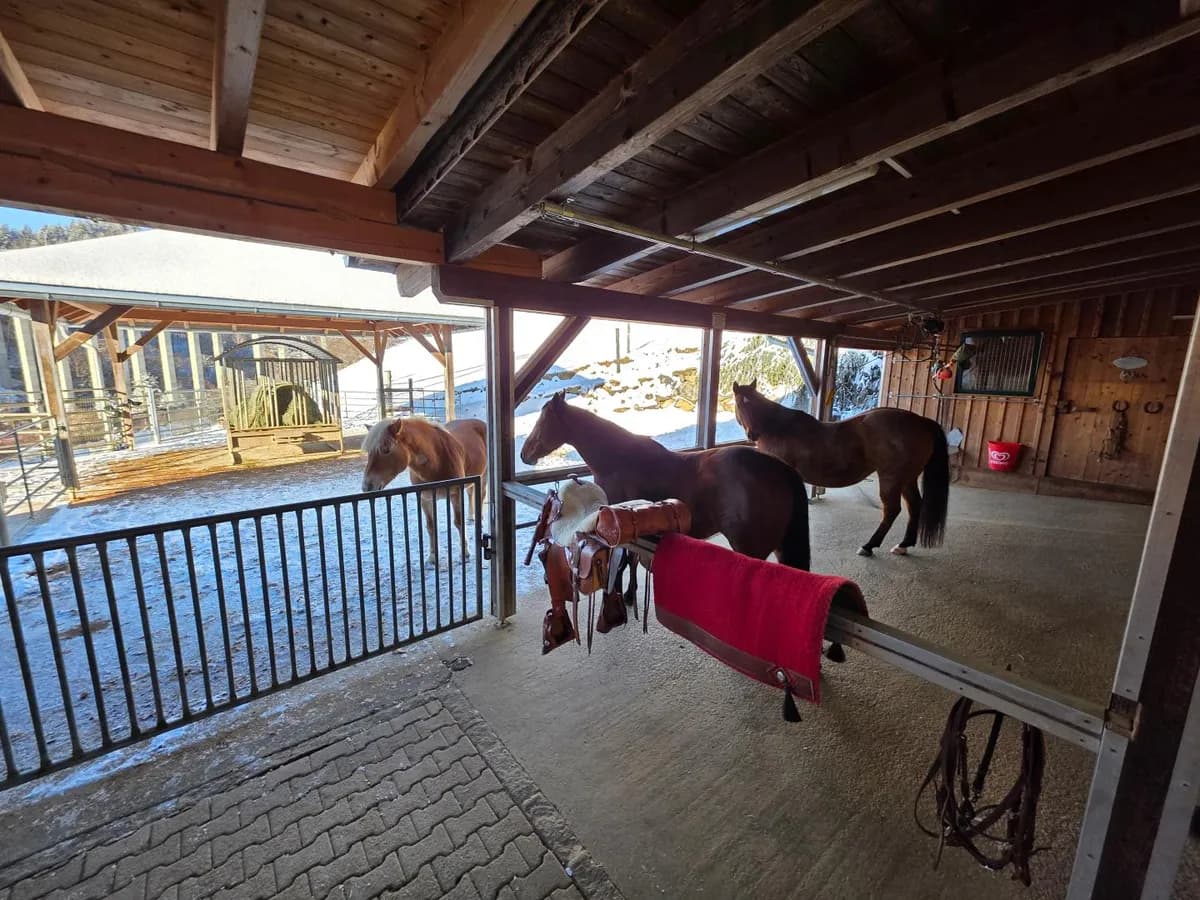 3-Zimmer-Grundstück kaufen in Wolfsberg – 90 m², € 765.000 – Bild 18 von 26