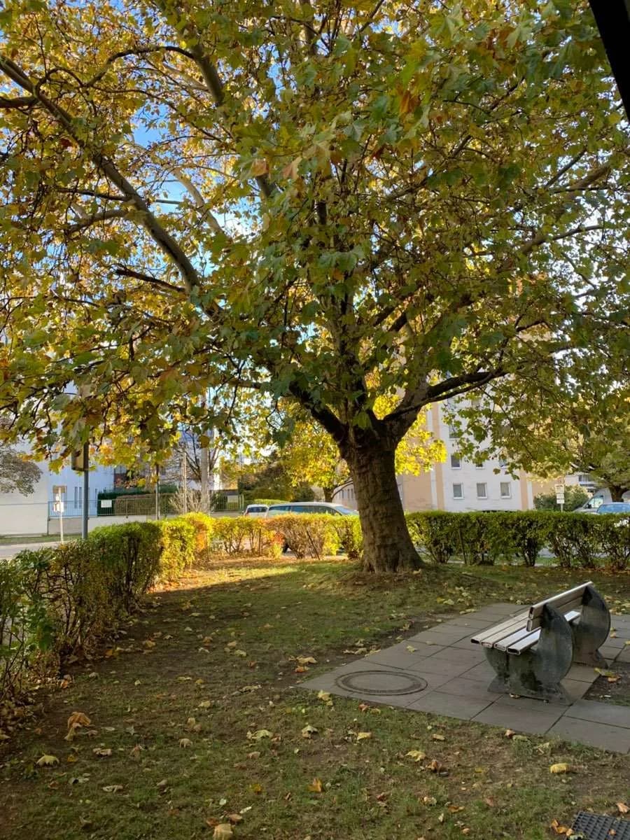 4-Zimmer-Wohnung kaufen in Linz – 113 m², € 245.000 – Bild 7 von 8