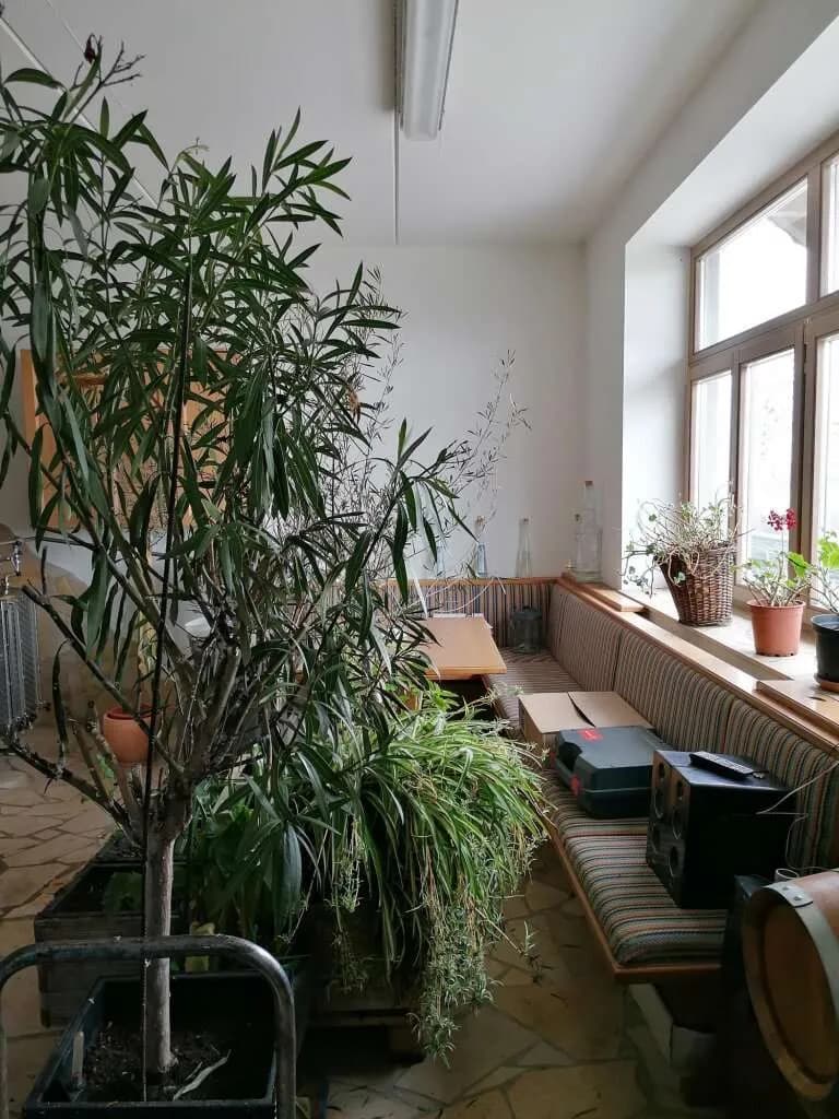 Gewerbeimmobilie kaufen in Hartberg-Fürstenfeld – 1 100 m², € 1.198.000 – Bild 30 von 37
