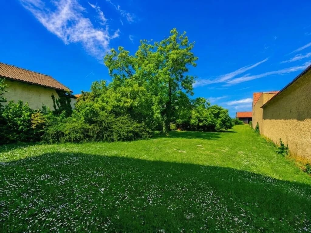 10-Zimmer-Haus kaufen in Gänserndorf – 280 m², € 399.000 – Bild 17 von 21